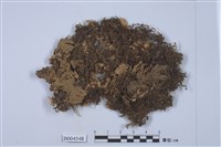 藏品(地卷屬)的圖片